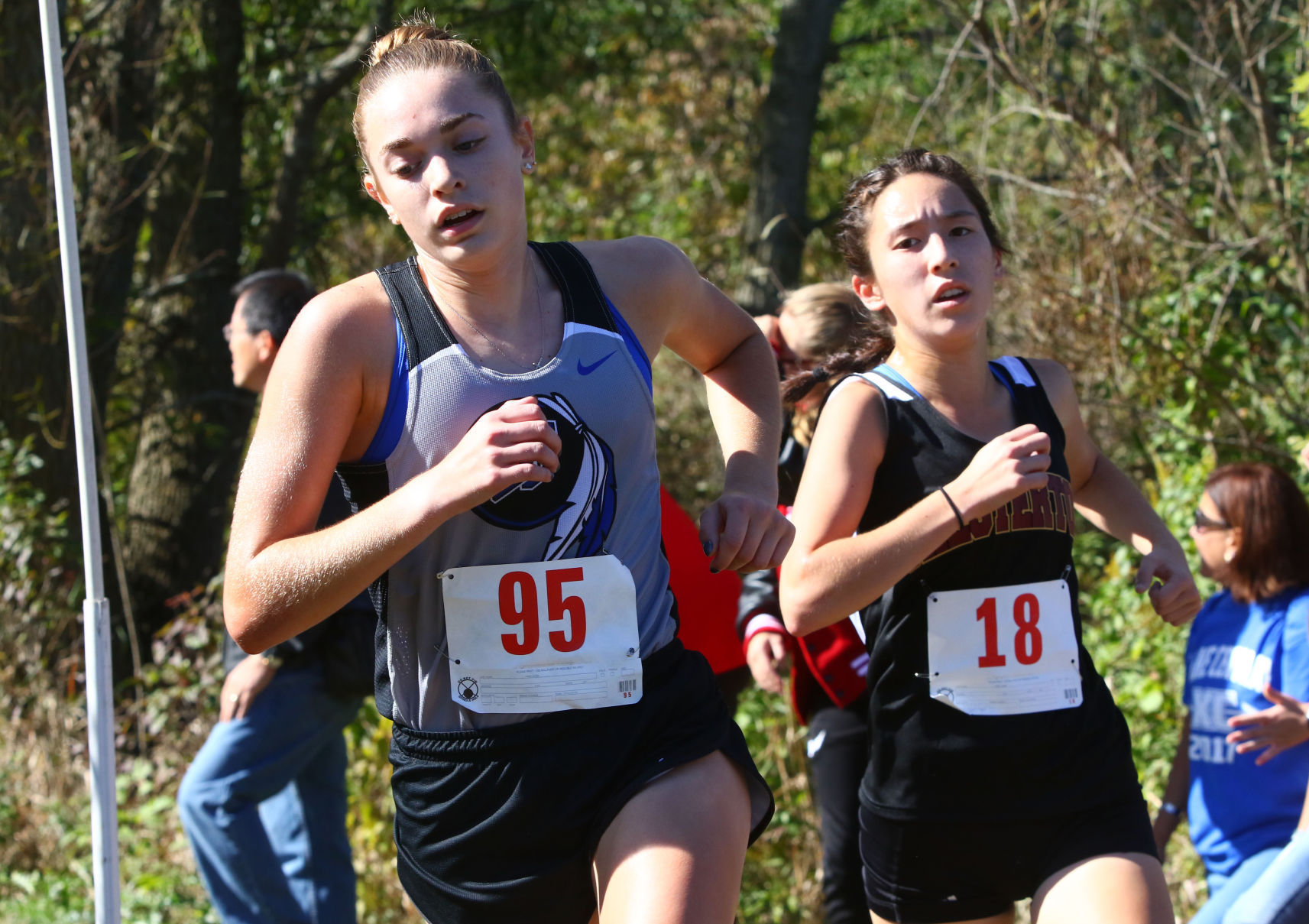 Gallery: Duneland Athletic Conference cross country meet